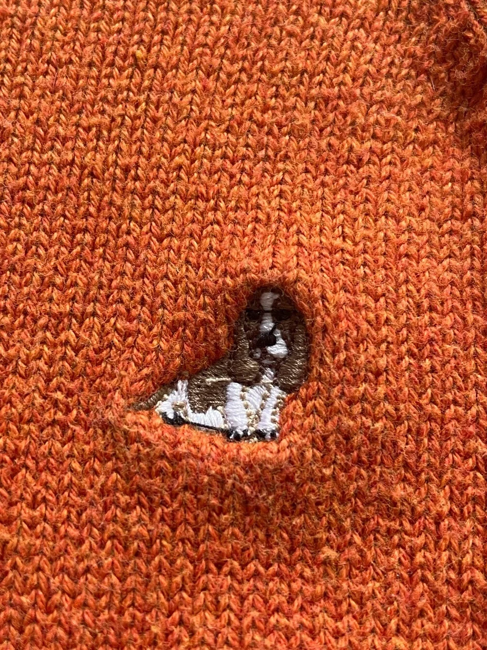 Gymboree Basset Hound Orange Sweater - Boy